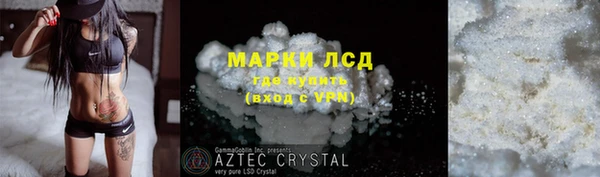 гидра Костерёво