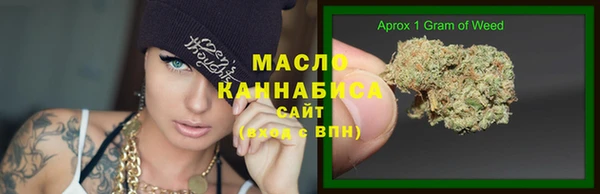 гидра Костерёво
