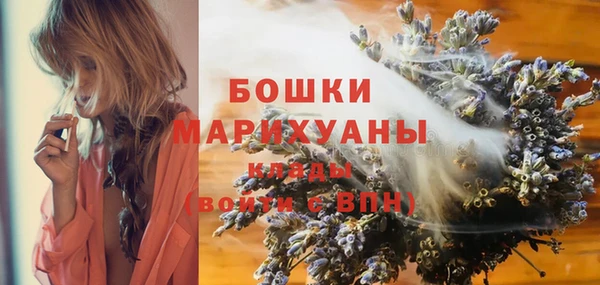 гидра Костерёво