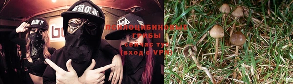 а пвп мука Корсаков